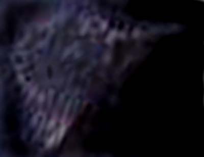 e0103408_1555018.jpg