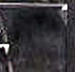 e0103408_1611290.jpg