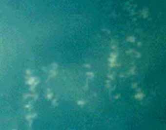 e0103408_8431035.jpg