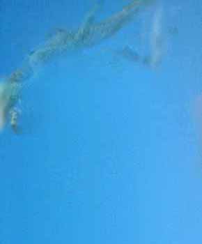 e0103408_844781.jpg