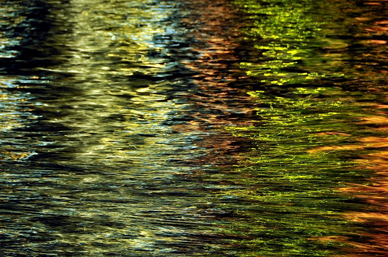 b0128609_11282955.jpg