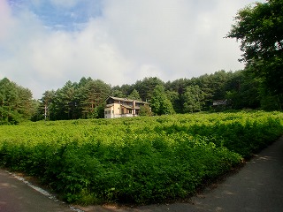 八ヶ岳ヒーリングツアー①_c0200917_1481340.jpg