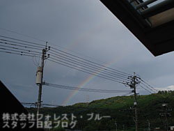 e0100618_18572131.jpg