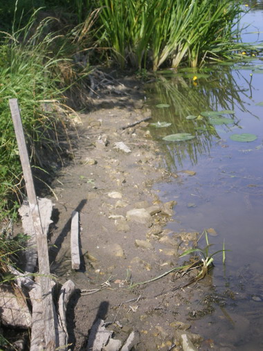 c0124619_515511.jpg
