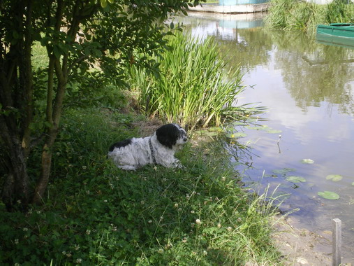 c0124619_5284499.jpg