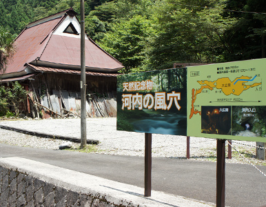 e0112226_1327588.jpg