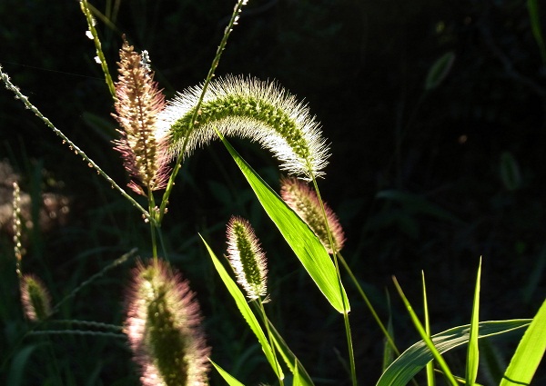 f0214527_1019874.jpg
