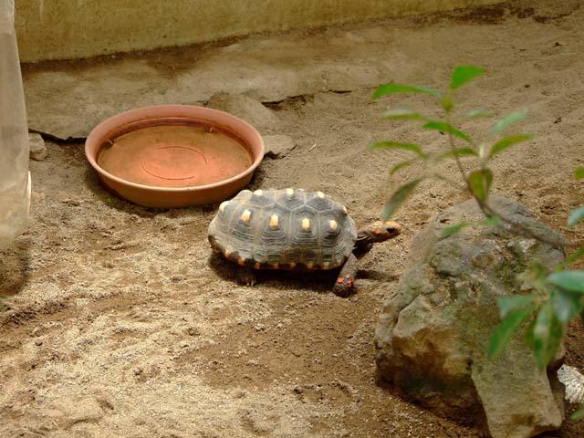 青春の暴走_a0179837_18425511.jpg