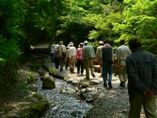 自然(川崎学Ⅱ) 野外学習:川を調べる(1)(2)_e0211937_6213728.jpg