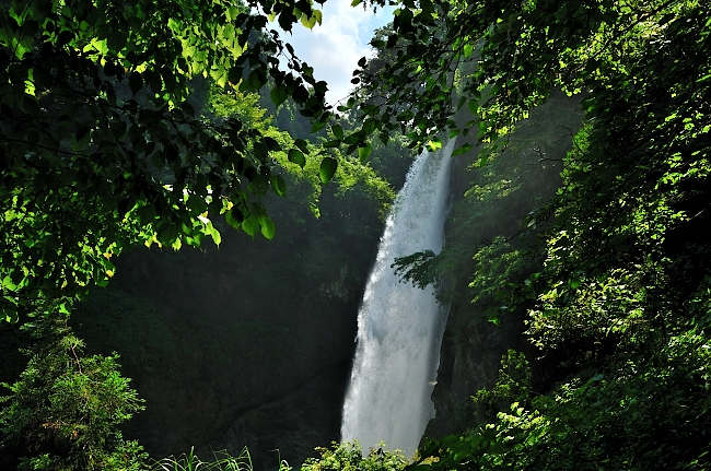 e0055138_1383467.jpg