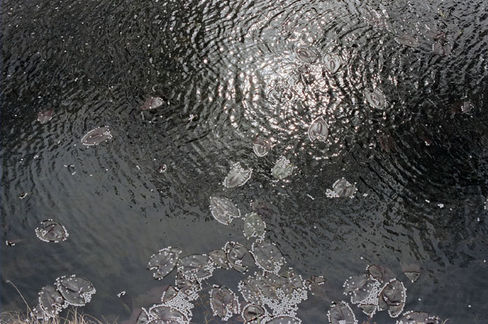 b0067346_23235481.jpg