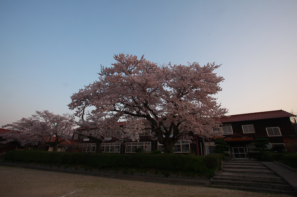 2011遅ればせの桜紀行 其の伍　夜明け_f0112547_615693.jpg