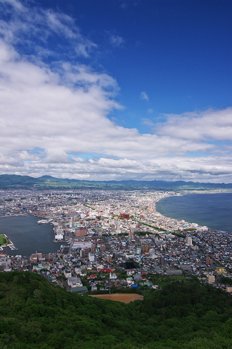函館山より_f0155048_7514676.jpg