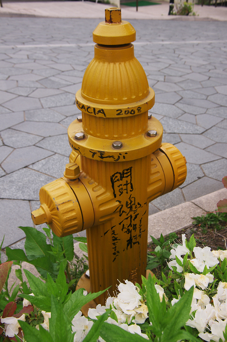 函館山より_f0155048_7523842.jpg