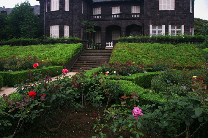 バラ咲く(旧古河庭園)_f0155048_8354866.jpg