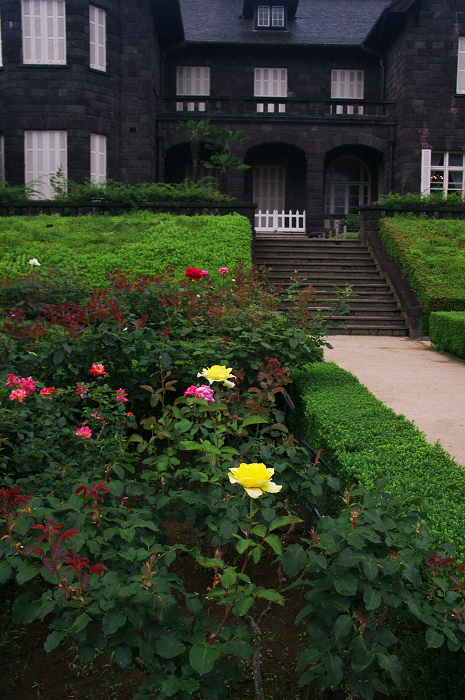 バラ咲く(旧古河庭園)_f0155048_8355361.jpg