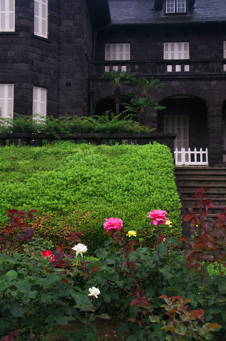 バラ咲く(旧古河庭園)_f0155048_836622.jpg