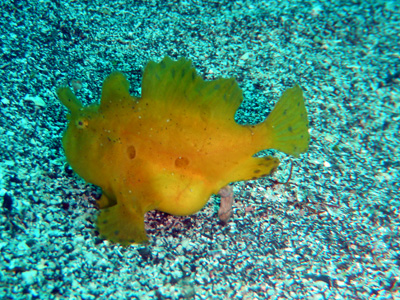 d0058549_17403215.jpg