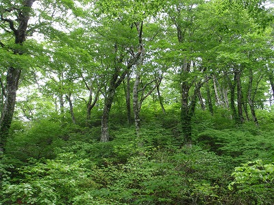 赤兎山ウサギ小屋での宴会ヶ岳攻略も見事滑落とは…(＠_＠;)_c0097754_17125077.jpg