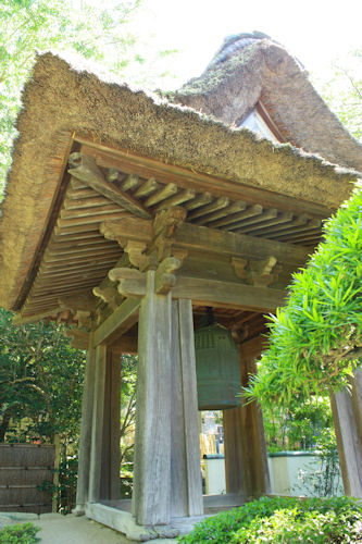 鎌倉報国寺「竹の庭」へ_a0154957_23202757.jpg