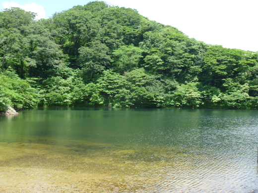 d0231858_6185769.jpg