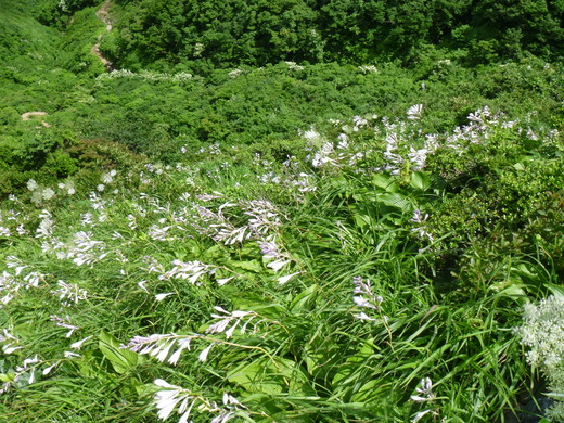 d0231858_6215961.jpg