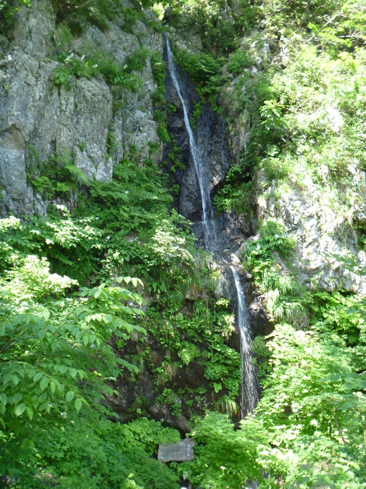d0231858_6273971.jpg