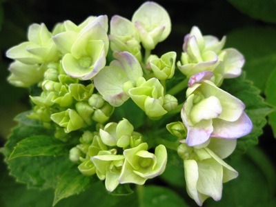 c0190960_20115177.jpg