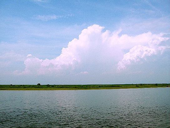 f0084561_1523676.jpg