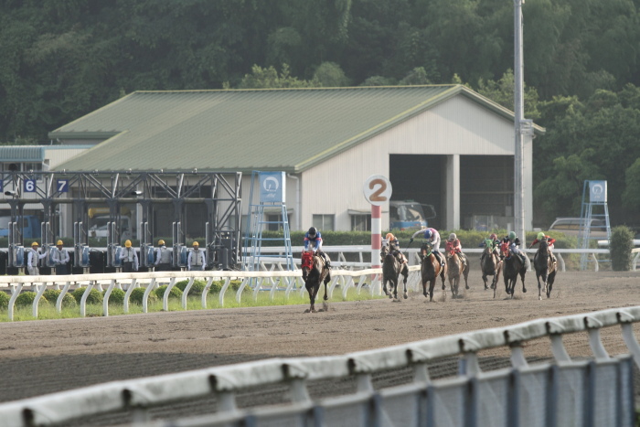 2011年7月2日（土） 高知競馬 4R C2イ_a0077663_7193817.jpg