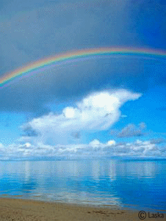a0063364_23203096.gif
