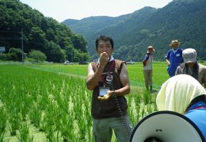 第７回・米酒の会（2011.7.10）…「草取り・生き物観察」_d0171387_2121154.jpg