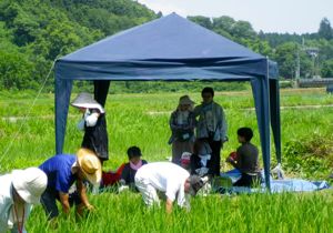 第７回・米酒の会（2011.7.10）…「草取り・生き物観察」_d0171387_21252054.jpg