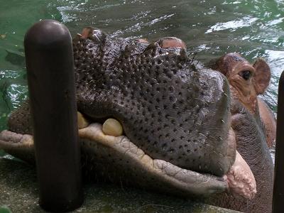 f0234590_8135024.jpg
