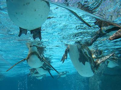 f0234590_814964.jpg