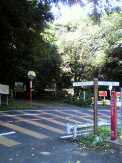 b0035391_17283353.jpg