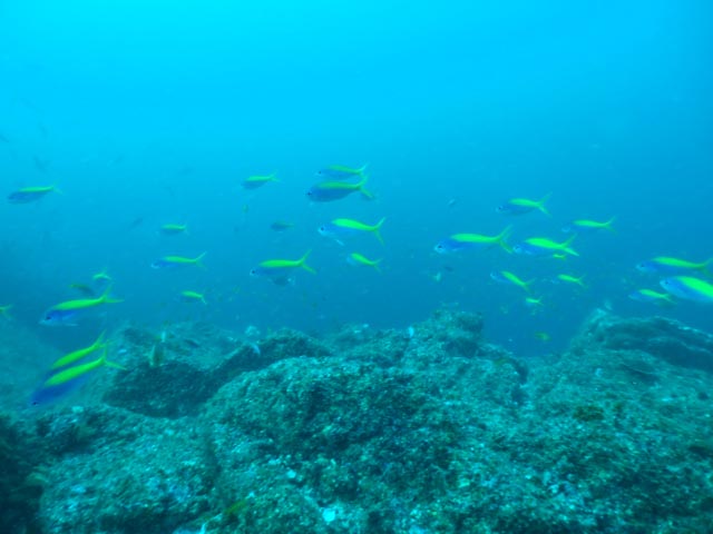 e0064291_1524420.jpg