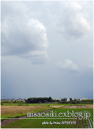 外構DIY塗装と雷雨やばすの日_f0238393_0185397.jpg