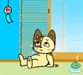 焼きカツオ♪_d0071596_16102658.gif