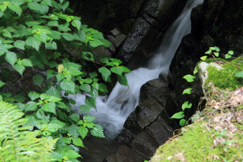 b0223198_2048195.jpg