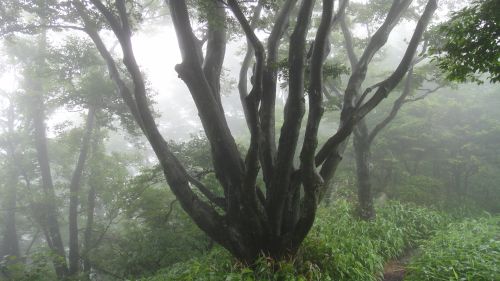 f0036700_14493969.jpg