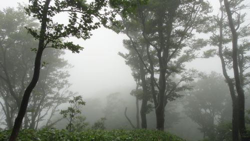 f0036700_14495318.jpg