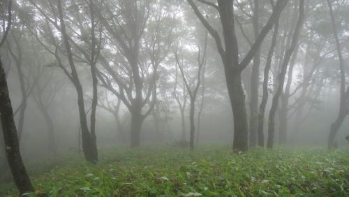 f0036700_1450244.jpg