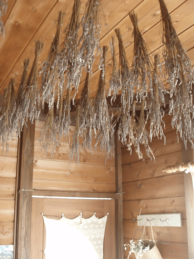 c0129702_0222291.gif