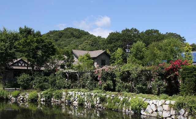 a0123003_20374493.jpg