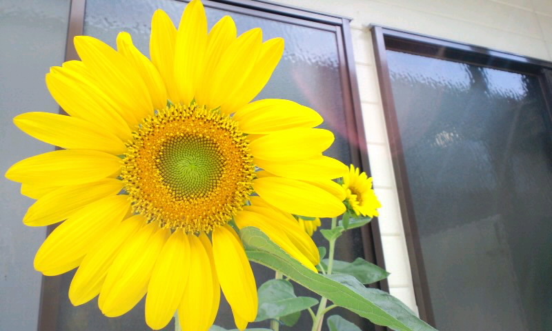 d0093903_7575032.jpg