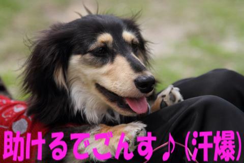 e0100007_21513539.jpg