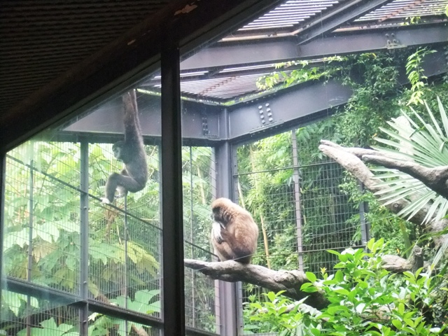 上野動物園　～その3～_d0179117_2254843.jpg