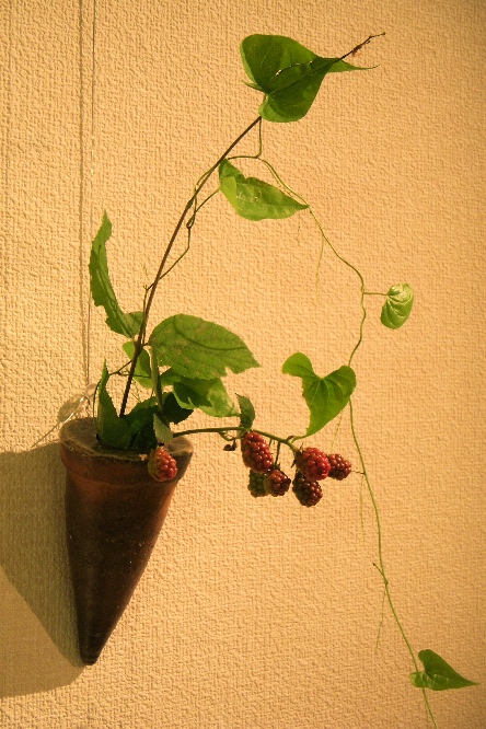f0018417_15192622.jpg