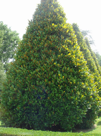 c0124619_21977.jpg